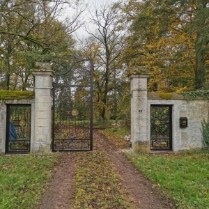 luxury wrought iron gates installed in Paris 