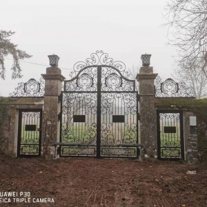 France villa installed wrought iron gates with remote control gate opener 